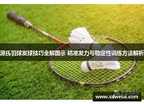源氏羽球发球技巧全解图示 精准发力与稳定性训练方法解析
