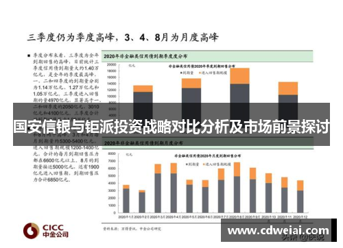国安信银与钜派投资战略对比分析及市场前景探讨