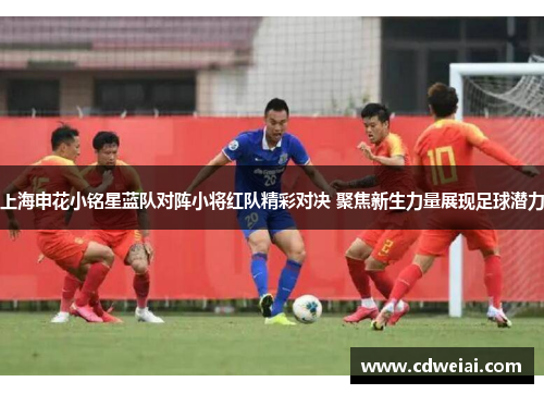 上海申花小铭星蓝队对阵小将红队精彩对决 聚焦新生力量展现足球潜力