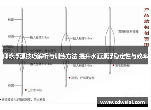 仰泳浮漂技巧解析与训练方法 提升水面漂浮稳定性与效率
