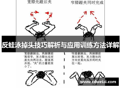反蛙泳掉头技巧解析与应用训练方法详解