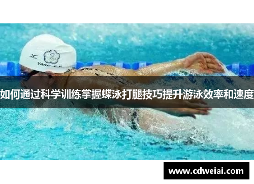 如何通过科学训练掌握蝶泳打腿技巧提升游泳效率和速度