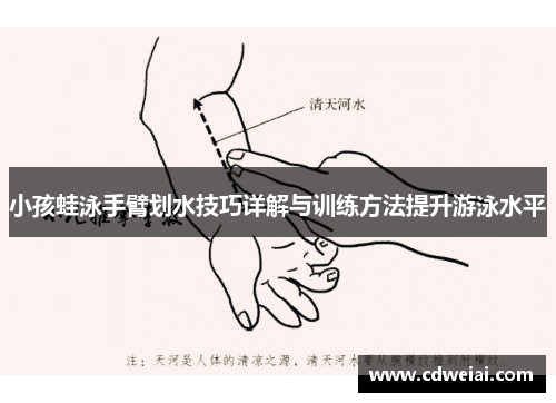 小孩蛙泳手臂划水技巧详解与训练方法提升游泳水平