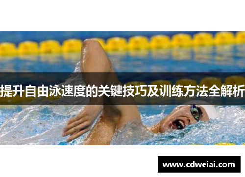 提升自由泳速度的关键技巧及训练方法全解析