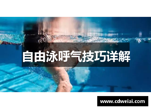 自由泳呼气技巧详解
