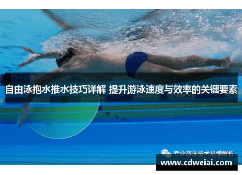 自由泳抱水推水技巧详解 提升游泳速度与效率的关键要素