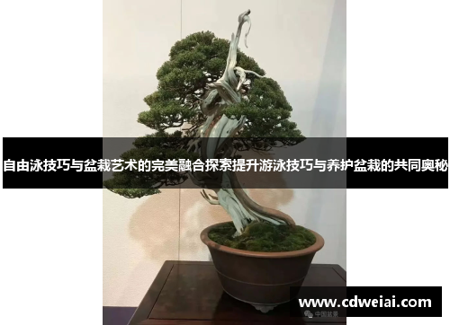 自由泳技巧与盆栽艺术的完美融合探索提升游泳技巧与养护盆栽的共同奥秘