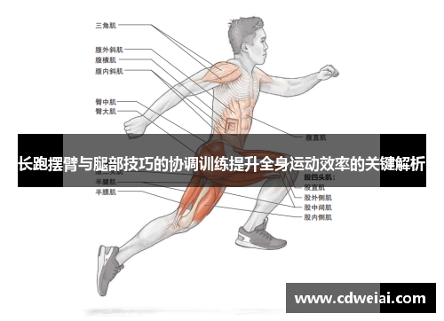 长跑摆臂与腿部技巧的协调训练提升全身运动效率的关键解析